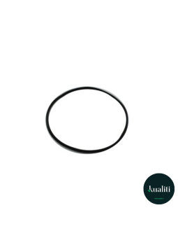 Guarnizione Unità Filtro...